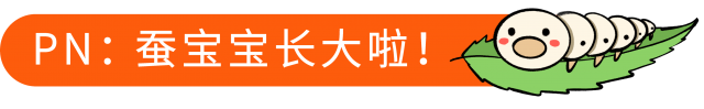 景田金生幼儿园