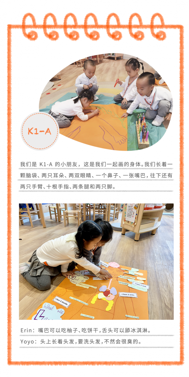 深圳金生国际幼儿学校,K1