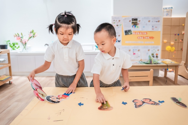 福田双语幼儿园,如果没有蝴蝶会怎样