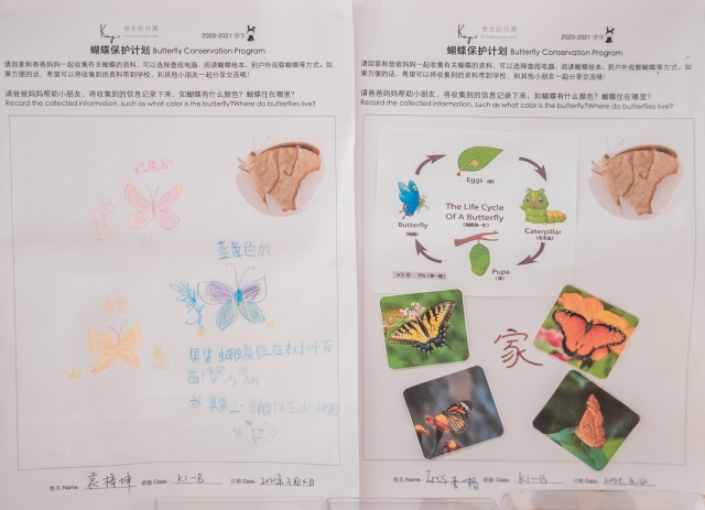 福田双语幼儿园,查阅资料