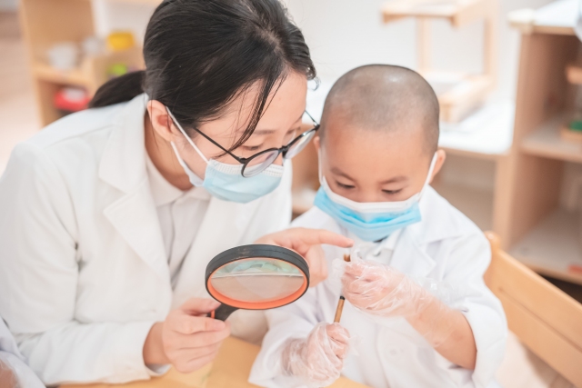 福田双语幼儿园,整理