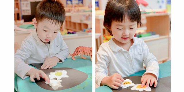 深圳双语幼儿园,煎鸡蛋