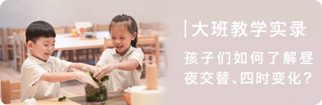 深圳双语幼儿园,IB课程