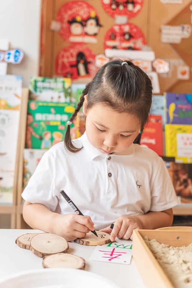 深圳国际双语幼儿园,主题探究活动